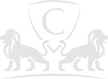 logo-s-asa.com.ua .png